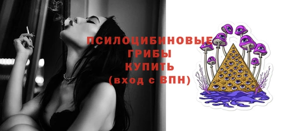 spice Лабытнанги
