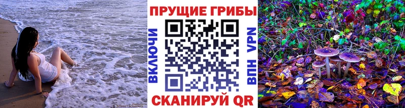 Псилоцибиновые грибы GOLDEN TEACHER  Купить где  Калачинск 