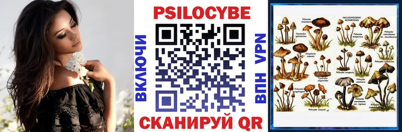 Псилоцибиновые грибы мицелий Калачинск